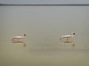 4 Days In Naivasha And Nakuru Tour