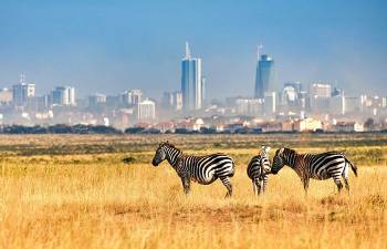 Nairobi National Park Half Day Tour