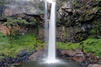 Day Trip To Aberdare National Park