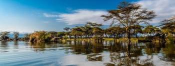 5 Days Maasai Mara - Lake Naivasha - Amboseli Safari Tour