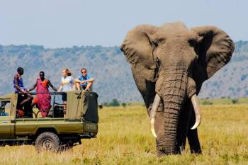 6 Days Kenyan Premier Safari Tour