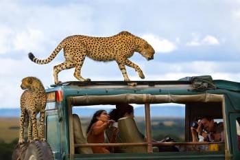 3 Days Maasai Mara Budget Safari Tour