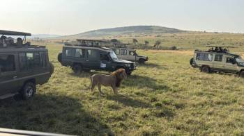 3 Nights and 4 Days Maasai Mara Safari