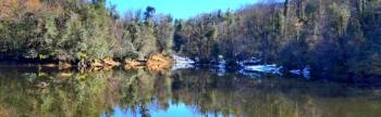 Chopta Tour Packages