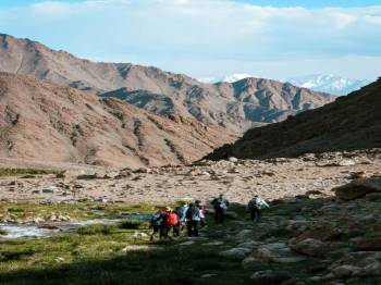 Markha Valley Trek Tour 10N - 11D