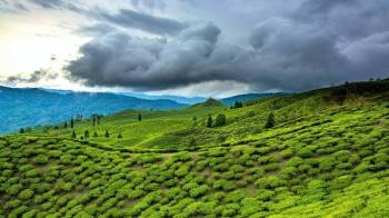 9 Days Assam Tour Package