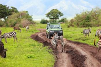 Classic Northern Tanzania Safari - 5 Days Tour