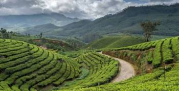 4 Night - 5 Days Kalimpong - Darjeeling Tour