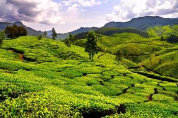 Grand Sikkim Tour Package