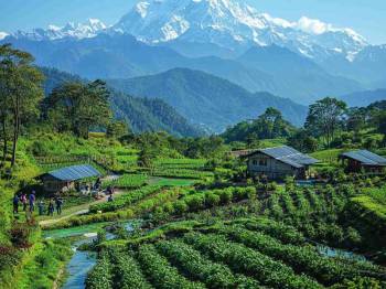 Darjeeling Tour Package