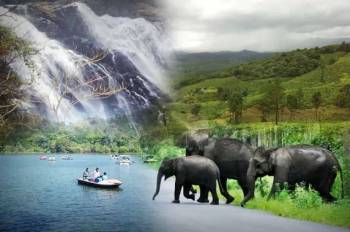 Mysore - Coorg - Wayanad Tour Package