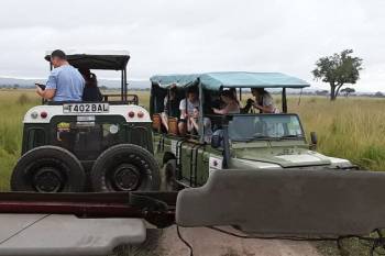 2 Days Tarangire - Ngorongoro From Arusha