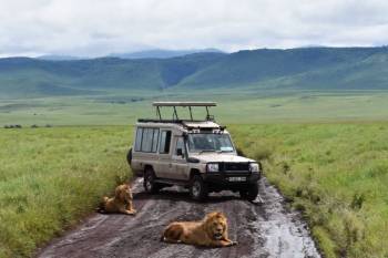 2 Days Tarangire - Ngorongoro From Arusha