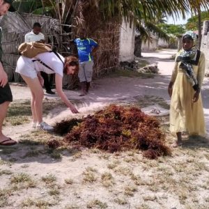 Zanzibar Village Tour – Discover the Real Island Life
