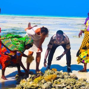 Zanzibar Village Tour – Discover the Real Island Life
