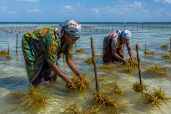 Zanzibar Village Tour – Discover the Real Island Life
