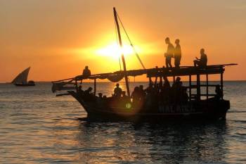 Mnemba Dolphin, Nungwi Aquarium & Kendwa Beach Sunset Tour