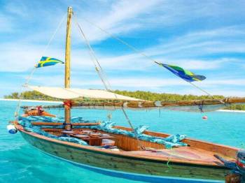 Mnemba Dolphin, Nungwi Aquarium & Kendwa Beach Sunset Tour