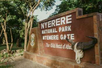 Selous  Nyerere National Park) Day Trip from Zanzibar