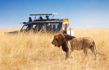 6 Days Tanzania Safari Tour