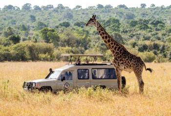 5 Days Tanzania Safari Tour