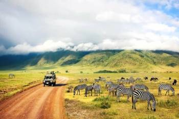 4 Days Tanzania Safari Tour