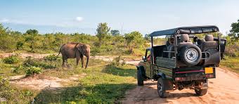 2 Days Tanzania Safari Tour