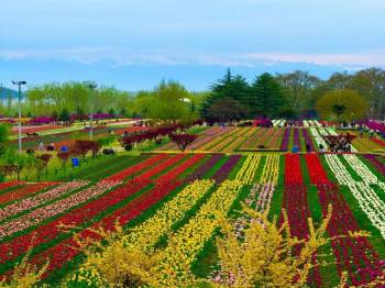4 Night 5 Days Kashmir Tour
