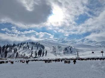 Bandipora Tour Packages