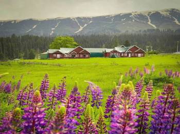 Kashmir Tour Package 4 Days - 3 Nights