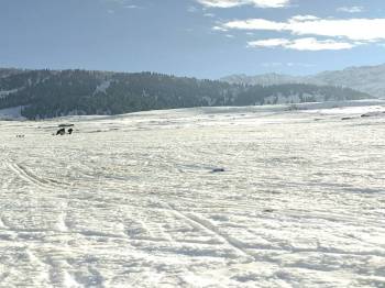 Delhi to Srinagar Jammu Kashmir destination