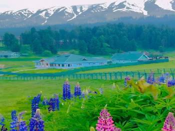 Gar Firdous Barueh Zamee  Hus