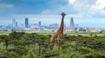 8 Days Luxury Big Five Tour