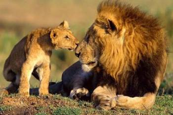 7 Days Wildlife Explorer Tour