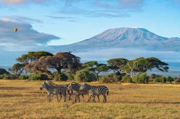 5 Days Masai Mara - Lake Nakuru Tour