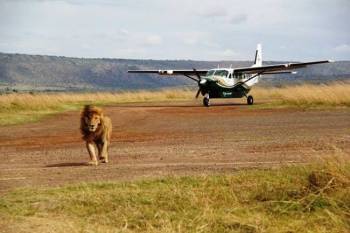 4 Days Masai Mara Fly-In Tour