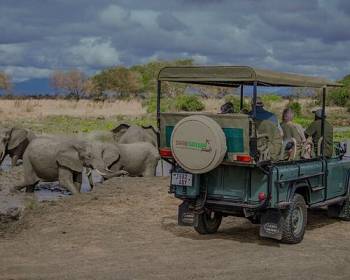5 Nights 6 days Tanzania Safari Package