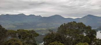 Munnar Tour 2 Days 1 Nights 7 Pax Minimum
