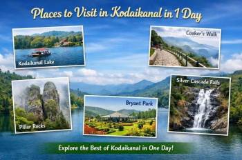 5N 6D Hill station (Kodaikanal, Ooty
