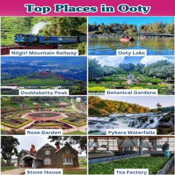5N 6D Hill station (Kodaikanal, Ooty