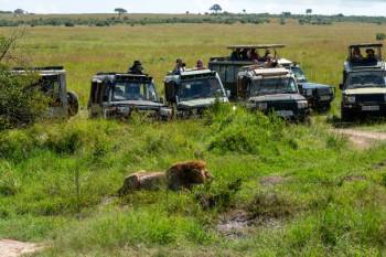 7-Day Magical Kenya Luxury Safari Tour