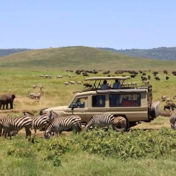 10-Day Grand Kenya Luxury Safari Circuit Tour