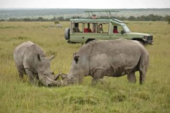 3 Day Ol Pejeta Wildlife Encounter Tour