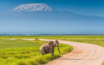 7-Day Budget Kenya Safari - Mara - Nakuru - Naivasha And Amboseli Tour