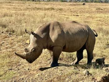 Samburu Tour Packages