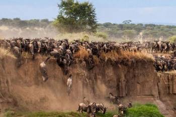 6 Day breathtaking Masai Mara and Amboseli Flight Safari