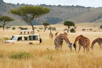13 Days Kenya Safari Tour