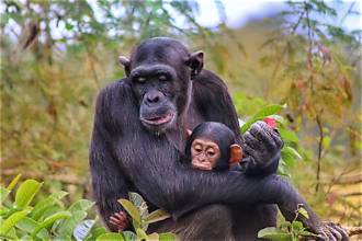 Samburu Tour Packages