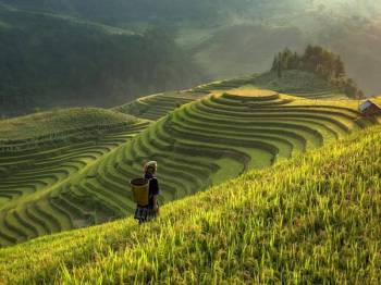 The Charming Beauty of Northern Vietnam