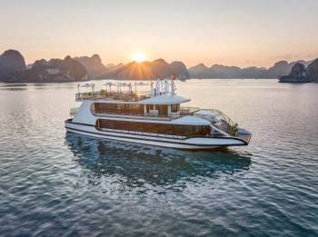 Cozy Bay Cruise 5 Star - Halong Bay - 1 Day - Join Group Tour